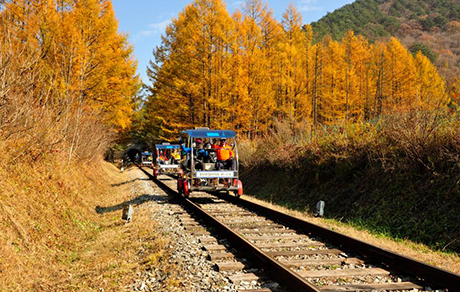 정선 레일바이크